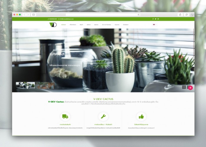 WOW ออกแบบเว็บไซต์ Web Design สวยงาม น่าใช้ ปรับแต่งได้ตามต้องการ